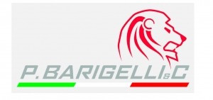 P.Barigelli